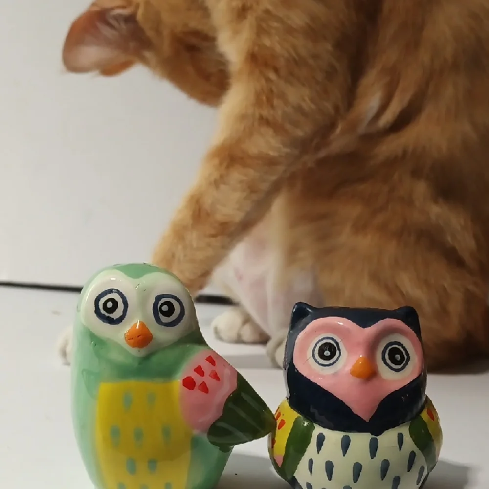 Source Unknown Colorful Owl Salt and Pepper Shakers